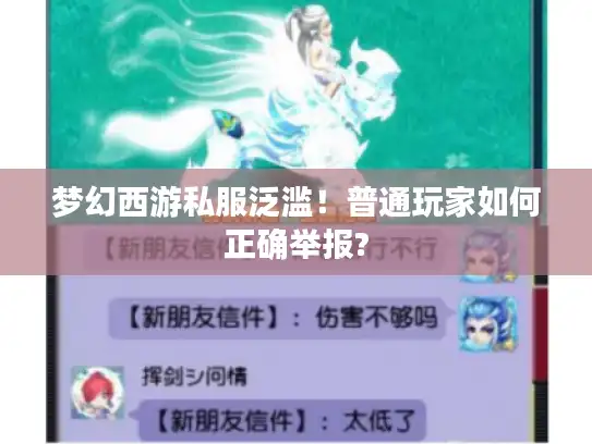 梦幻西游私服泛滥！普通玩家如何正确举报?