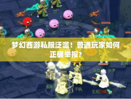 梦幻西游私服泛滥！普通玩家如何正确举报?