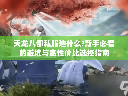 天龙八部私服选什么?新手必看的避坑与高性价比选择指南