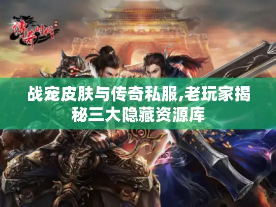 战宠皮肤与传奇私服,老玩家揭秘三大隐藏资源库
