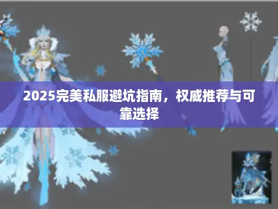 2025完美私服避坑指南，权威推荐与可靠选择