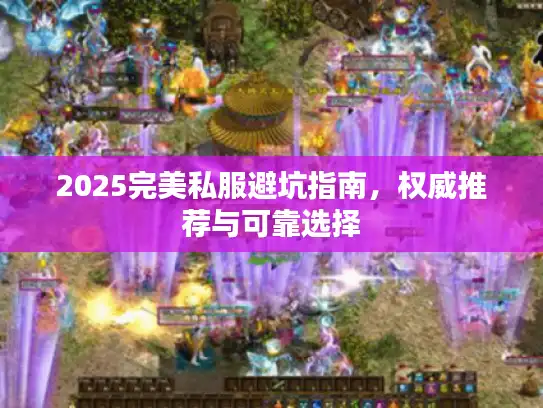 2025完美私服避坑指南，权威推荐与可靠选择