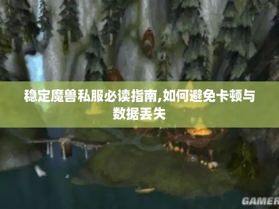 稳定魔兽私服必读指南,如何避免卡顿与数据丢失