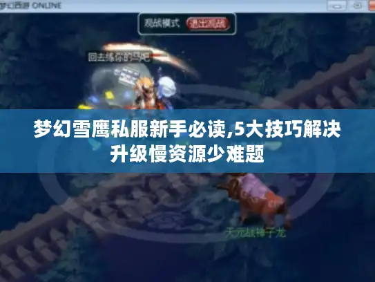 梦幻雪鹰私服新手必读,5大技巧解决升级慢资源少难题