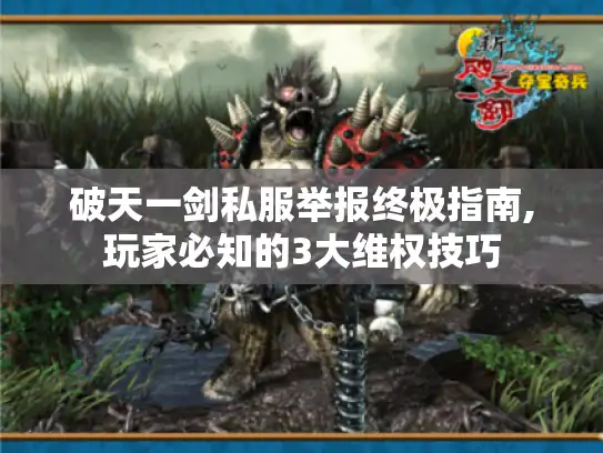 破天一剑私服举报终极指南,玩家必知的3大维权技巧