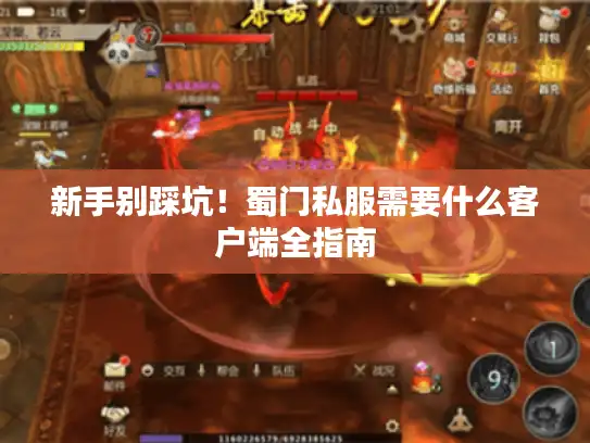 新手别踩坑！蜀门私服需要什么客户端全指南