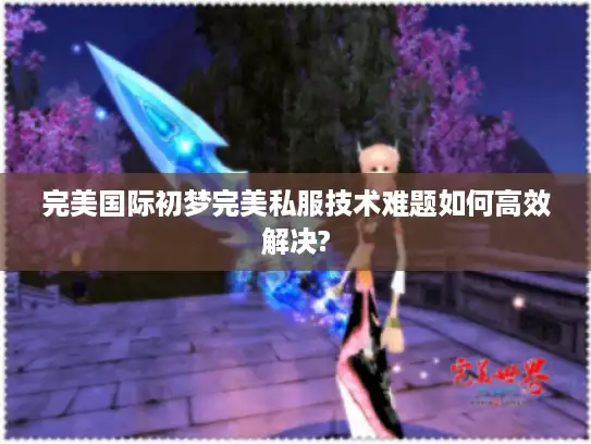 完美国际初梦完美私服技术难题如何高效解决?