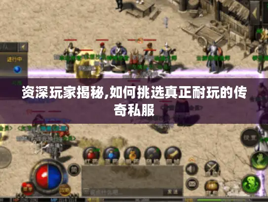 资深玩家揭秘,如何挑选真正耐玩的传奇私服