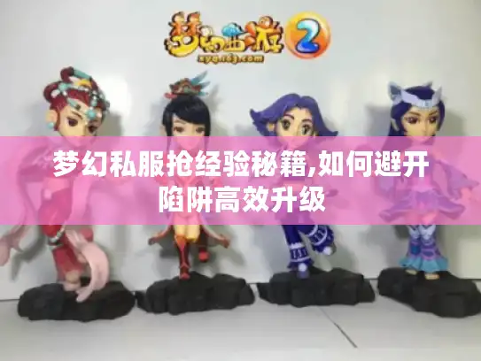 梦幻私服抢经验秘籍,如何避开陷阱高效升级