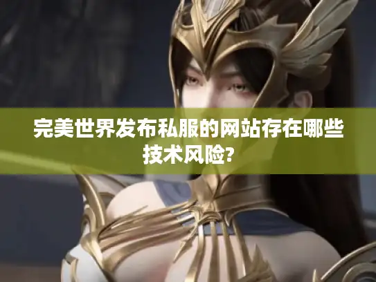 完美世界发布私服的网站存在哪些技术风险?
