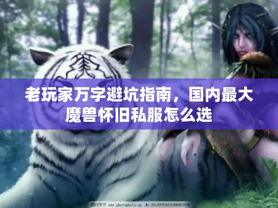 老玩家万字避坑指南,国内最大魔兽怀旧私服怎么选 老玩家万字避坑指南,国内最大魔兽怀旧私服怎么选
