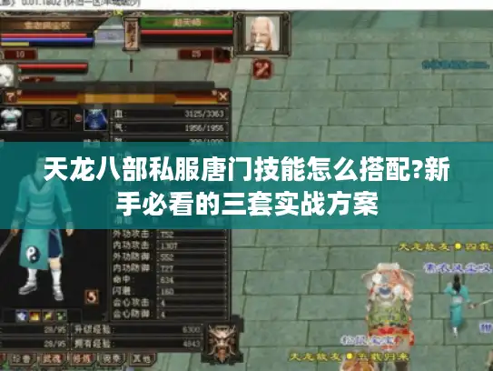 天龙八部私服唐门技能怎么搭配?新手必看的三套实战方案