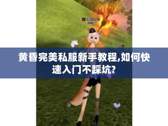 黄昏完美私服新手教程,如何快速入门不踩坑?