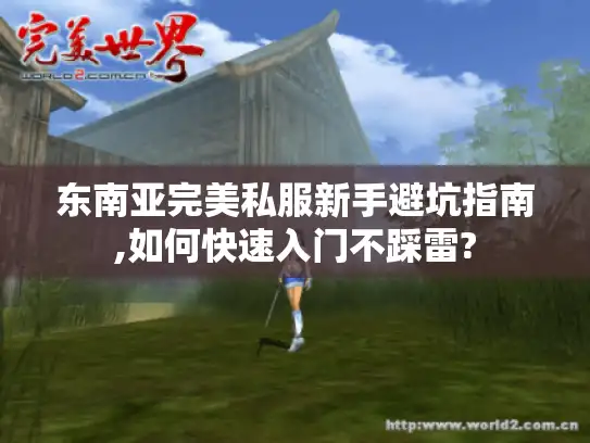 东南亚完美私服新手避坑指南,如何快速入门不踩雷? 东南亚完美私服新手避坑指南,如何快速入门不踩雷?