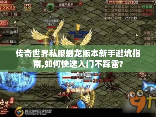 传奇世界私服蟠龙版本新手避坑指南,如何快速入门不踩雷?