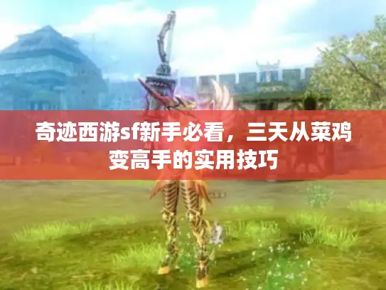 奇迹西游sf新手必看，三天从菜鸡变高手的实用技巧