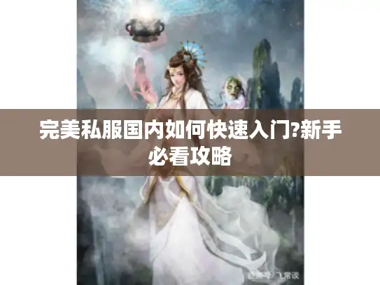 完美私服国内如何快速入门?新手必看攻略 完美私服国内如何快速入门?新手必看攻略