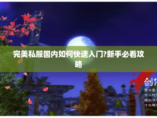 完美私服国内如何快速入门?新手必看攻略 完美私服国内如何快速入门?新手必看攻略