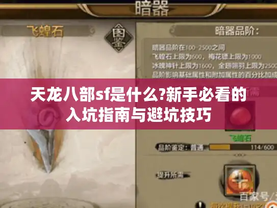 天龙八部sf是什么?新手必看的入坑指南与避坑技巧