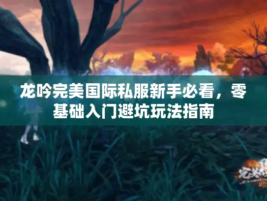 龙吟完美国际私服新手必看，零基础入门避坑玩法指南