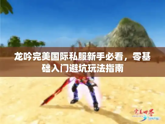 龙吟完美国际私服新手必看，零基础入门避坑玩法指南