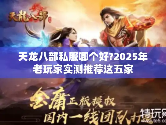 天龙八部私服哪个好?2025年老玩家实测推荐这五家
