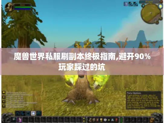 魔兽世界私服刷副本终极指南,避开90%玩家踩过的坑