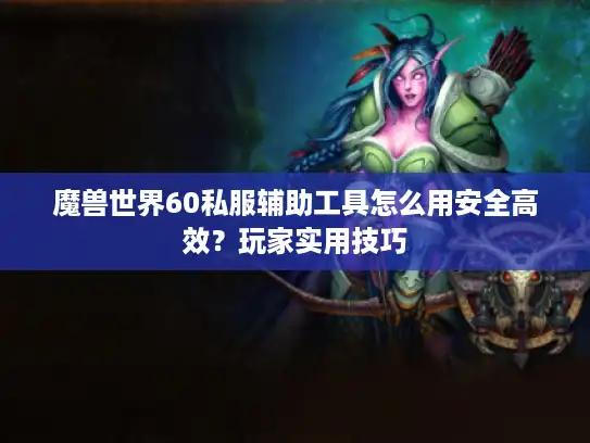 魔兽世界60私服辅助工具怎么用安全高效？玩家实用技巧