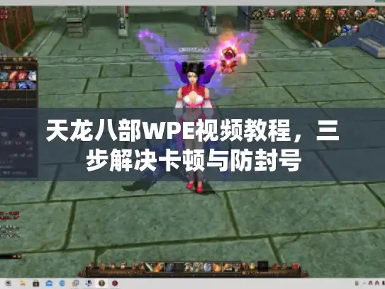 天龙八部WPE视频教程，三步解决卡顿与防封号