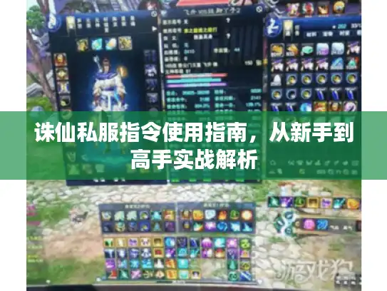 诛仙私服指令使用指南,从新手到高手实战解析 诛仙私服指令使用指南,从新手到高手实战解析