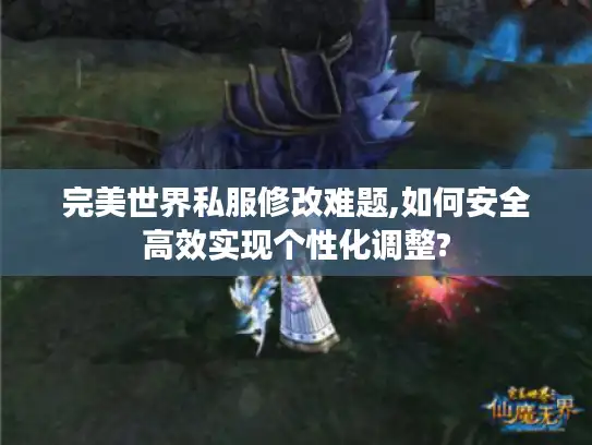 完美世界私服修改难题,如何安全高效实现个性化调整?