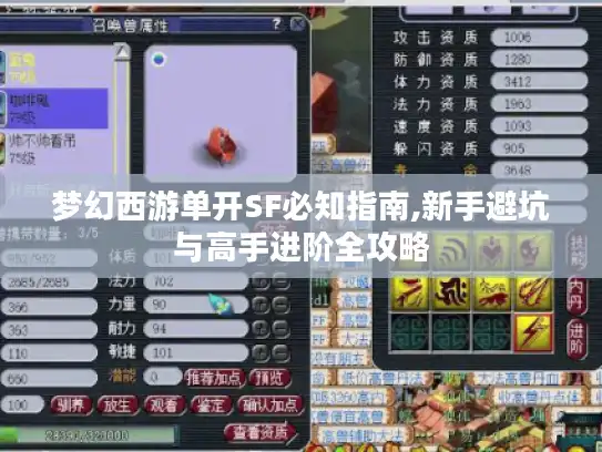 梦幻西游单开SF必知指南,新手避坑与高手进阶全攻略