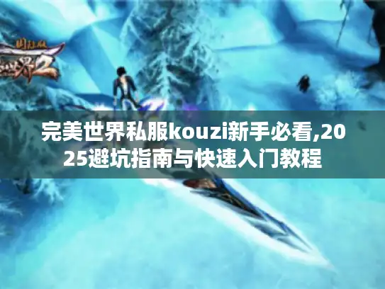 完美世界私服kouzi新手必看,2025避坑指南与快速入门教程