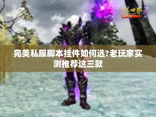 完美私服脚本挂件如何选?老玩家实测推荐这三款 完美私服脚本挂件如何选?老玩家实测推荐这三款