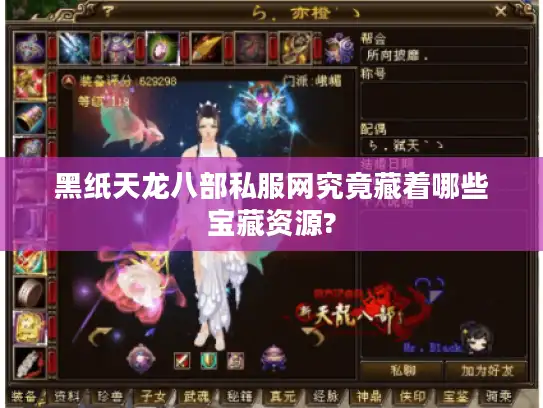 黑纸天龙八部私服网究竟藏着哪些宝藏资源?