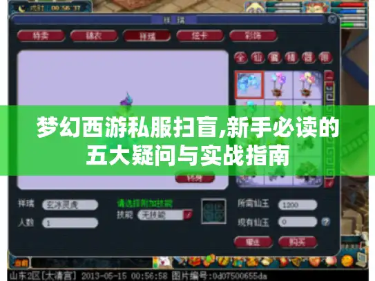 梦幻西游私服扫盲,新手必读的五大疑问与实战指南