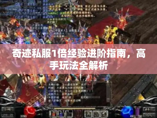 奇迹私服1倍经验进阶指南，高手玩法全解析