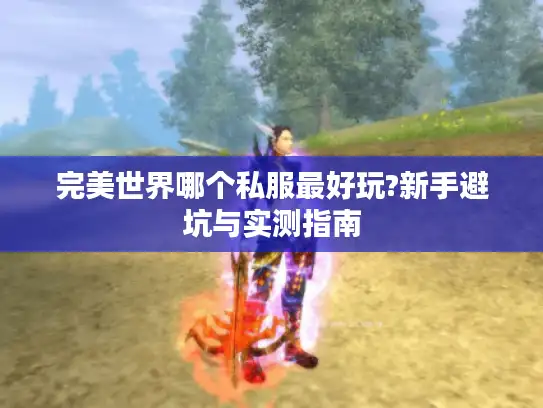 完美世界哪个私服最好玩?新手避坑与实测指南 完美世界哪个私服最好玩?新手避坑与实测指南
