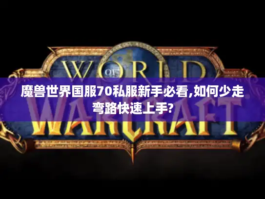 魔兽世界国服70私服新手必看,如何少走弯路快速上手?