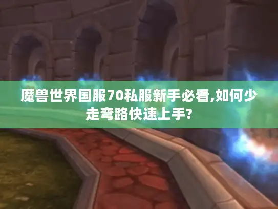 魔兽世界国服70私服新手必看,如何少走弯路快速上手?
