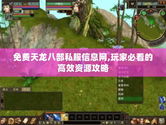免费天龙八部私服信息网,玩家必看的高效资源攻略