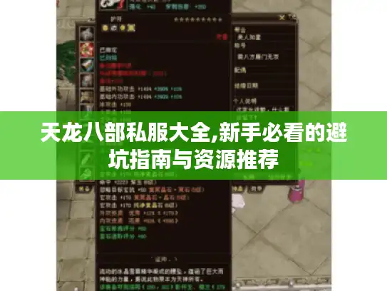 天龙八部私服大全,新手必看的避坑指南与资源推荐
