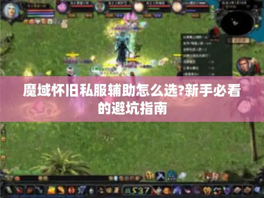 魔域怀旧私服辅助怎么选?新手必看的避坑指南