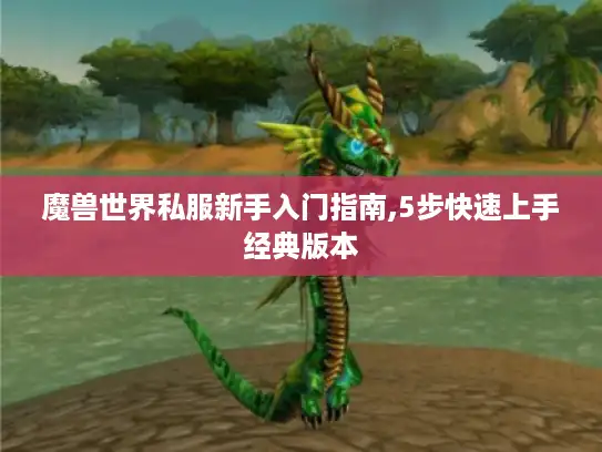 魔兽世界私服新手入门指南,5步快速上手经典版本