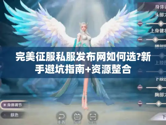 完美征服私服发布网如何选?新手避坑指南+资源整合