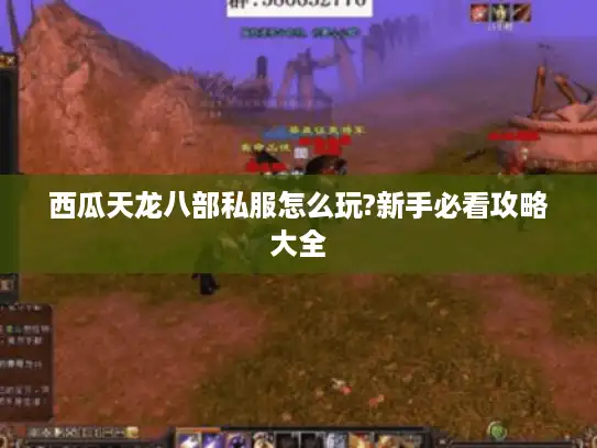 西瓜天龙八部私服怎么玩?新手必看攻略大全