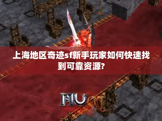 上海地区奇迹sf新手玩家如何快速找到可靠资源?