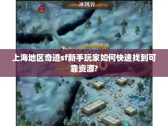 上海地区奇迹sf新手玩家如何快速找到可靠资源?