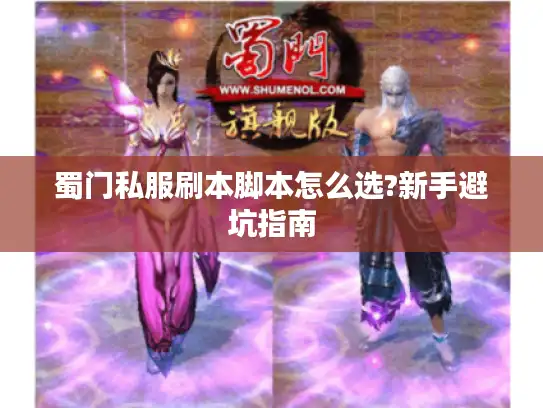 蜀门私服刷本脚本怎么选?新手避坑指南