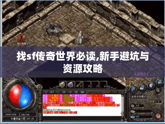 找sf传奇世界必读,新手避坑与资源攻略 找sf传奇世界必读,新手避坑与资源攻略